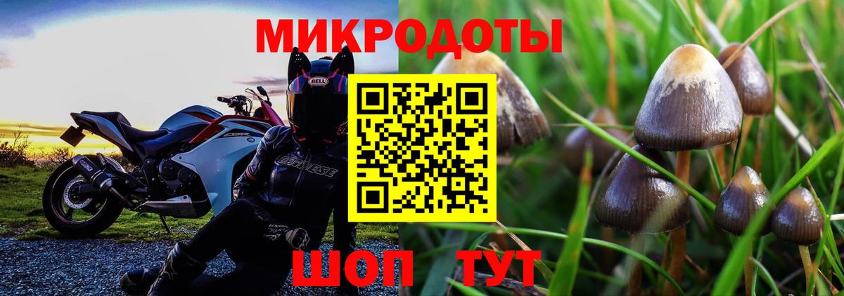 Железноводск  Галлюциногенные грибы мухоморы  Вход с VPN 